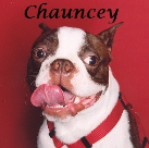 Chauncey. 2002-2015